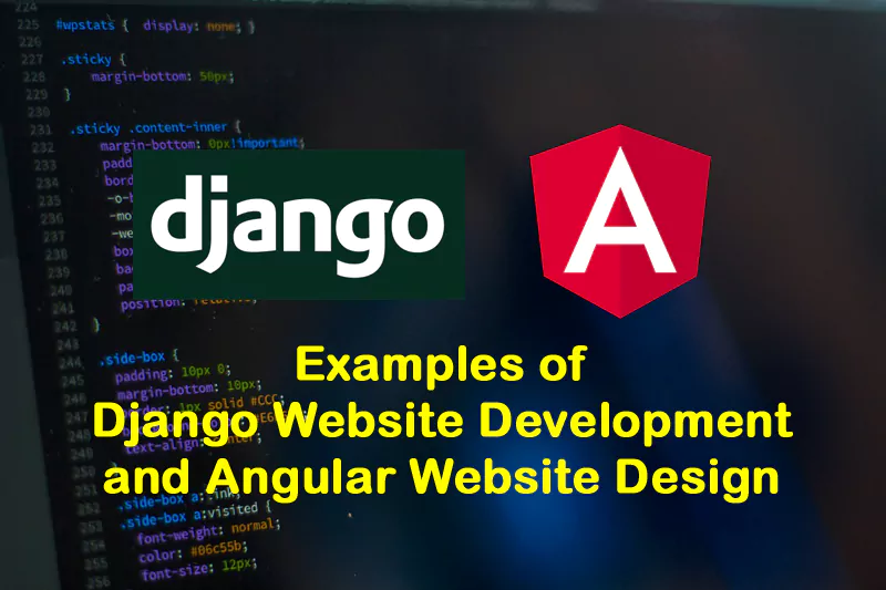 Examples of Django Website Development and Angular Website Design